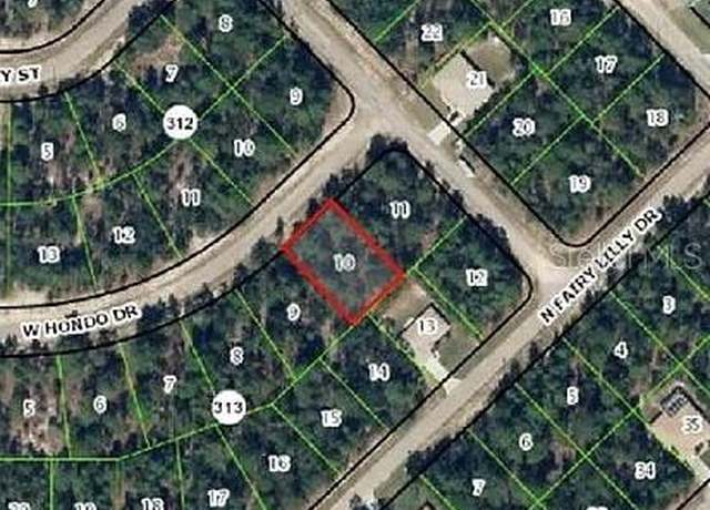 Property at 3822 W Hondo Dr, Citrus Springs, FL 34433