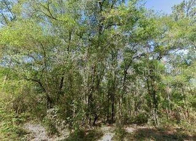 Property at 491 E Nemo Dr, Dunnellon, FL 34434