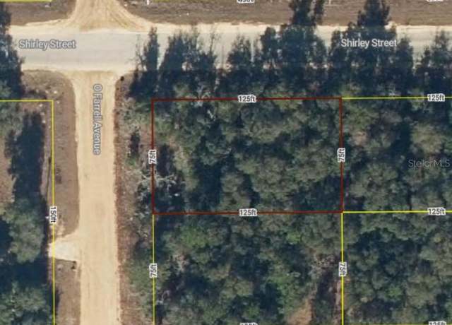 Property at Lot 1 O'farrell Ave, Interlachen, FL 32148