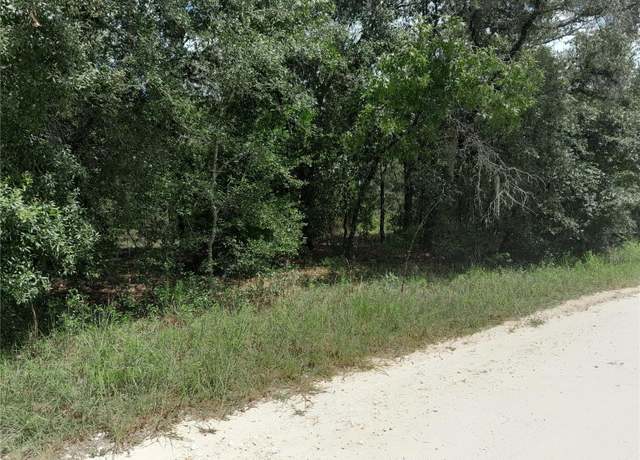 Property at 91 SE 142nd Ter, Williston, FL 32696