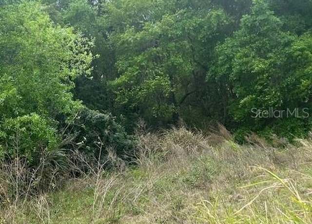 Property at 811 Henry St, Lake Wales, FL 33853