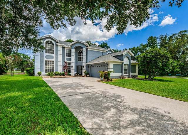 Property For Sale In Odessa Florida