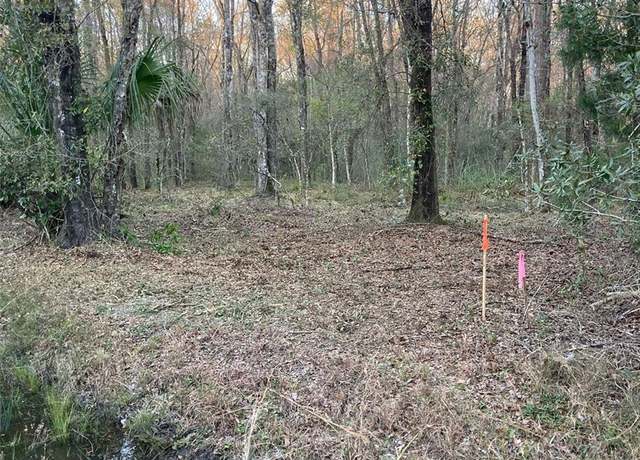 Property at 10450 Weatherby Ave, Hastings, FL 32145