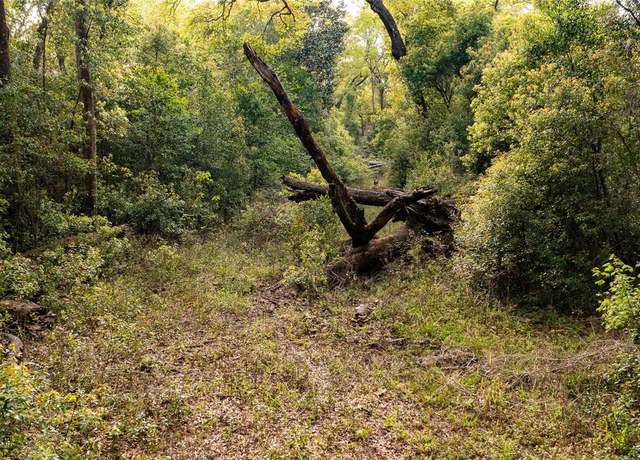Property at 00 NW 177th Pl, High Springs, FL 32643
