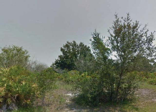 Property at 113 Edenwald Ave NW, Lake Placid, FL 33852