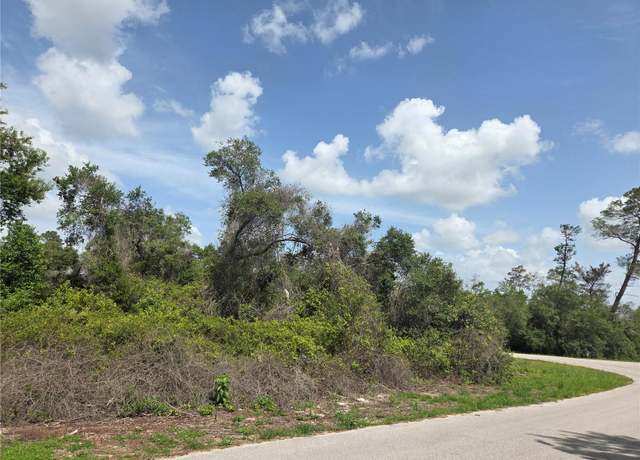 Property at 0 SW 153rd Loop, Ocala, FL 34473