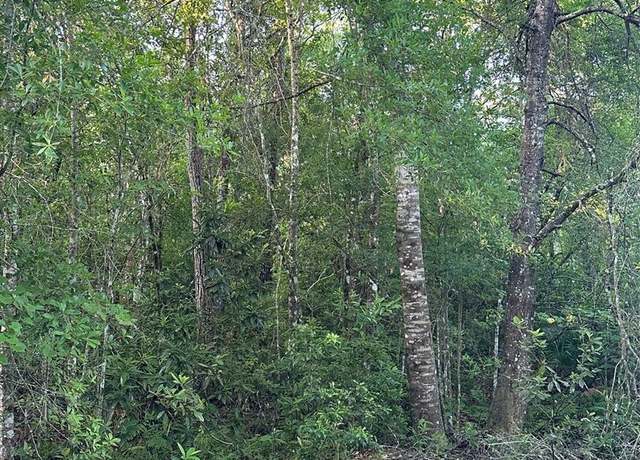 Property at Water Rd, Clermont, FL 34714