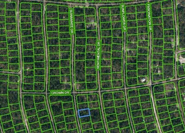 Property at 215 Suwannee Dr, Lake Placid, FL 33852