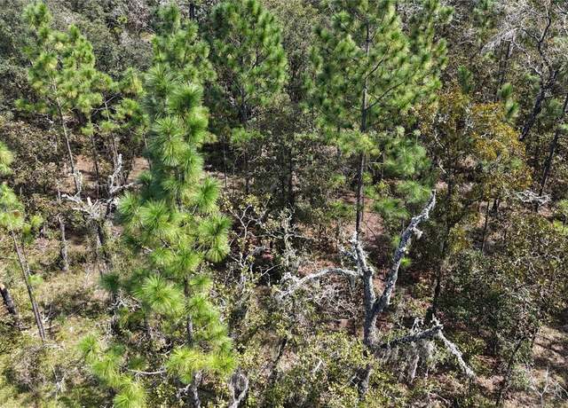 Property at Lot 37 SE 126th Ter, Dunnellon, FL 34431