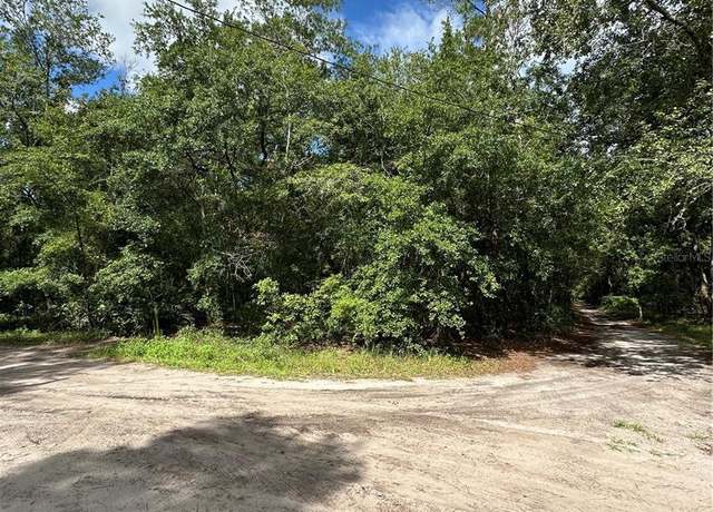 Property at TBD NE 225th Pl, Fort Mc Coy, FL 32134