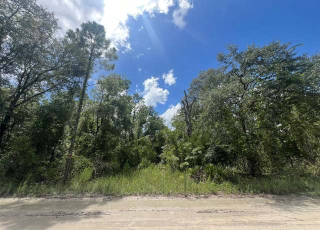 Property at Lot 11 NW 11th Ave, Bell, FL 32619