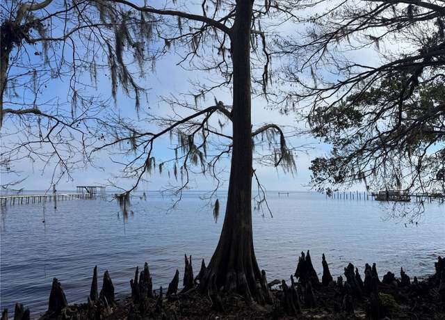 Property at NE 310th Ave, Fort Mc Coy, FL 32134