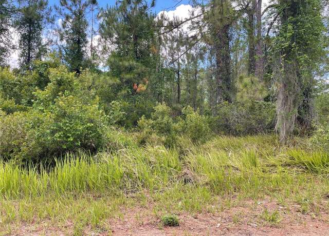 Property at Lot 1 Locust Place Run, Ocala, FL 34472