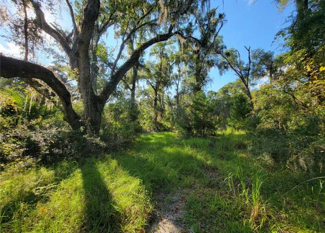 Property at 565 NE 833rd St, Old Town, FL 32680