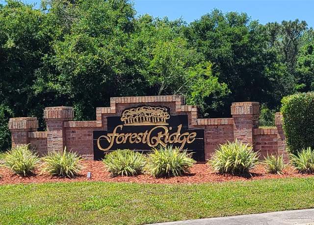 Property at 101 Wood Dove Ave, Tarpon Springs, FL 34689