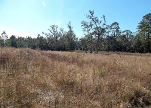 Property at 00 SW Commander Ct, Lake City, FL 32025