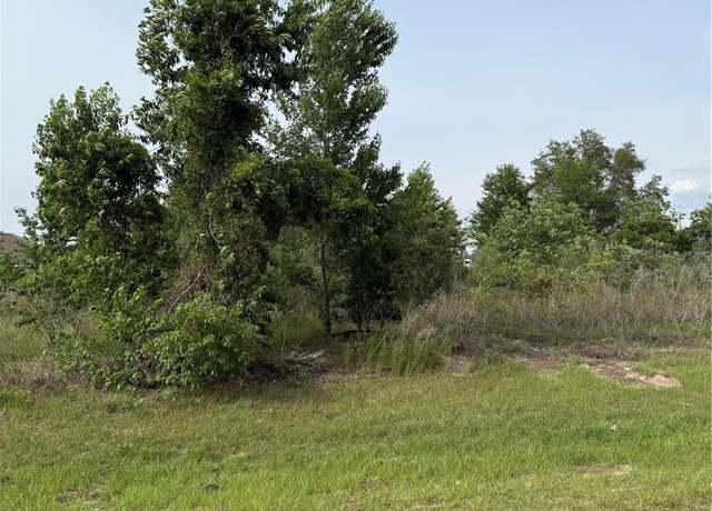 Property at TBD SW 129th Ln, Ocala, FL 34473