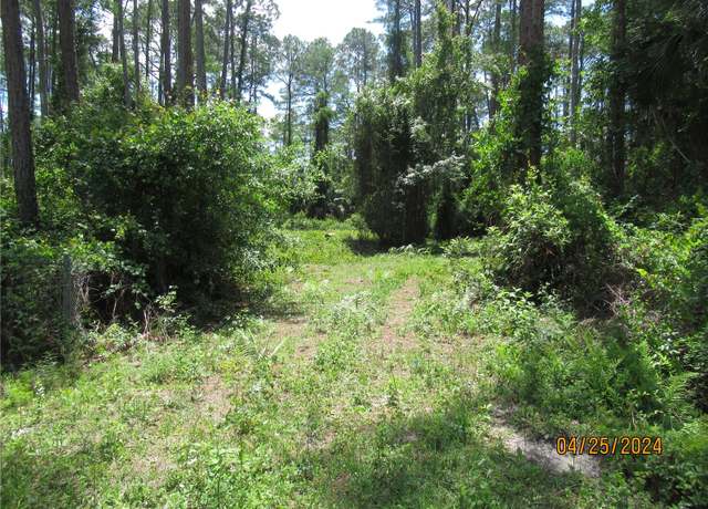 Property at 4643 Walnut Ave, Bunnell, FL 32110