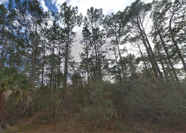 Property at 9142 Michigan Ave, Weeki Wachee, FL 34613