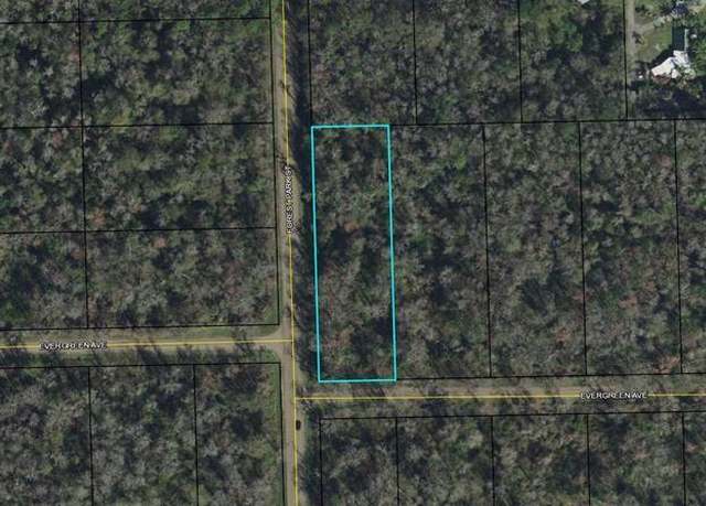 Property at 3936 Evergreen Ave, Bunnell, FL 32110