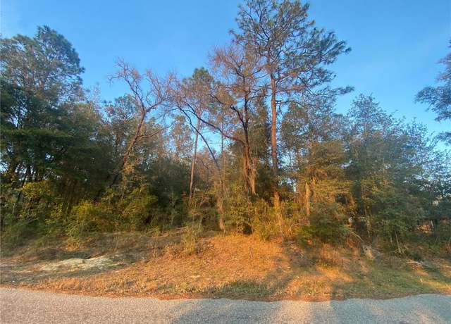 Property at Lot 28 SW 206 Cir, Dunnellon, FL 34431
