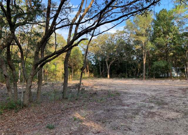Property at 132 SW 52nd Ave, Interlachen, FL 32148