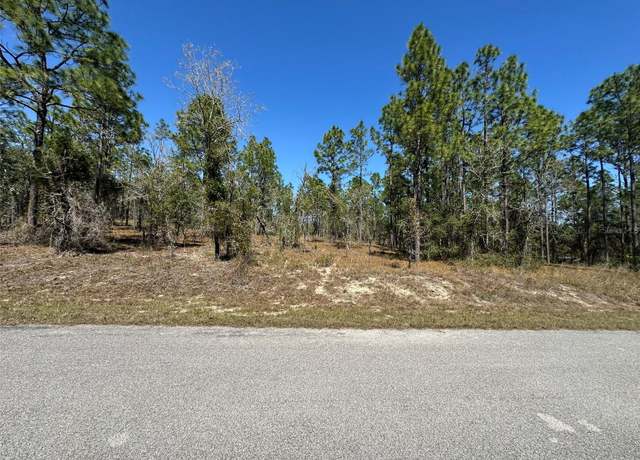 Property at 0 NW Shamrock Ave, Dunnellon, FL 34431
