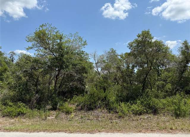 Property at TBD Fisher Loop #36, Ocklawaha, FL 32179