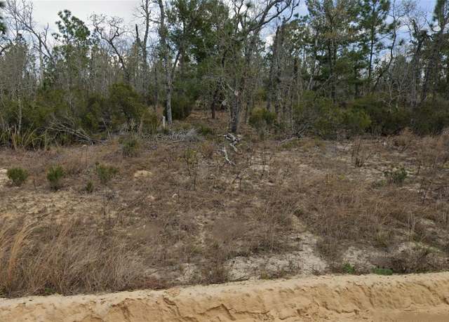 Property at Lot 33 Twin Lakes Blvd, Interlachen, FL 32148