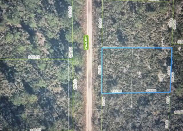 Property at 6508 Dian Ave, Sebring, FL 33875