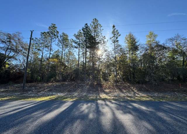 Property at 8161 N Triana Dr, Citrus Springs, FL 34434