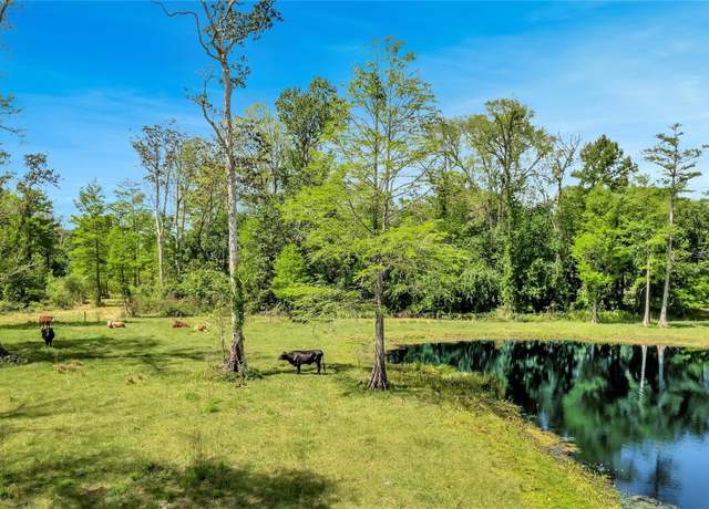 Property at TBD Corkwood Ln, Astatula, FL 34705