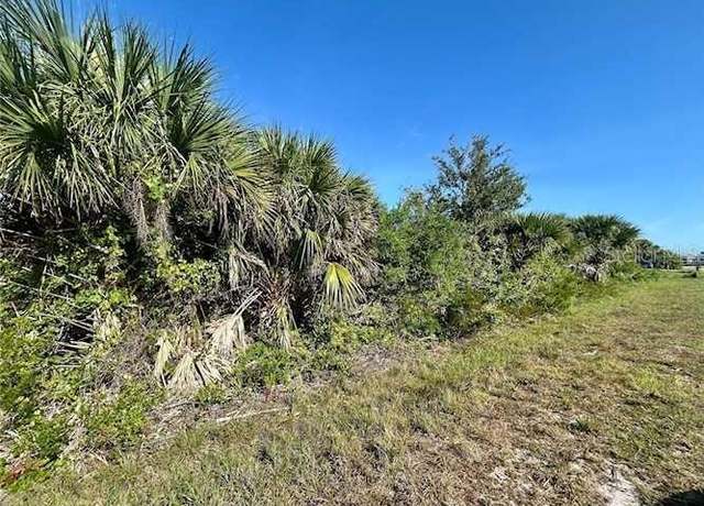 Property at 10039 Alvarez St, Port Charlotte, FL 33981