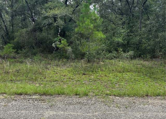 Property at 875 E Elston Pl, Citrus Springs, FL 34434