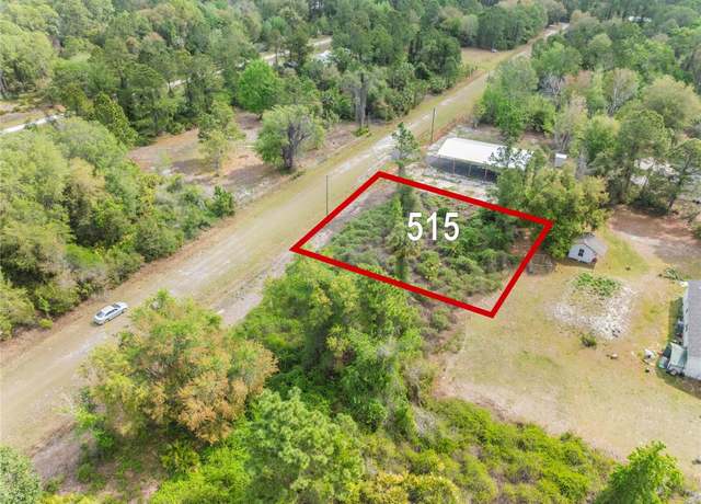 Property at 515 Gardenia Ave, Georgetown, FL 32139
