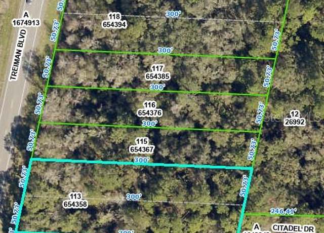 Property at 8380 Treiman Blvd, Webster, FL 33597