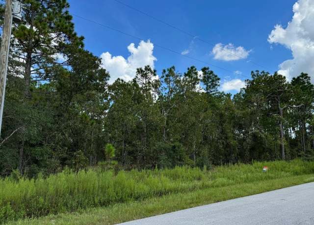 Property at TBD LOT 39 SW Vibeurnum Rd, Dunnellon, FL 34431