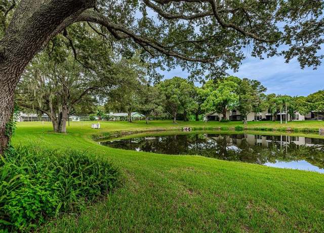 Westlake Village Palm Harbor