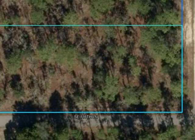 Property at Lot 9 SE 135th Ct, Dunnellon, FL 34431