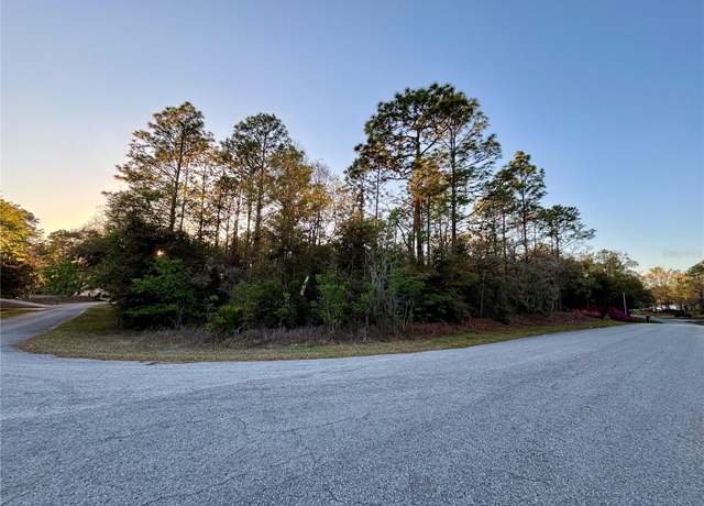 Property at Lot 33 SW 97 Pl, Dunnellon, FL 34431