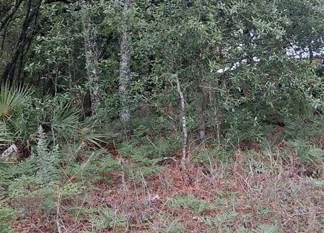 Property at 5887 / 5899 N Bedstrow Blvd, Dunnellon, FL 34434