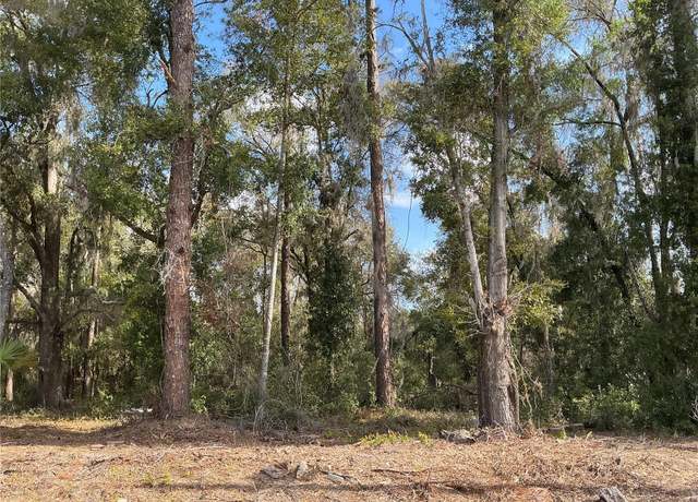 Property at 0 Locust Dr, Ocala, FL 34472