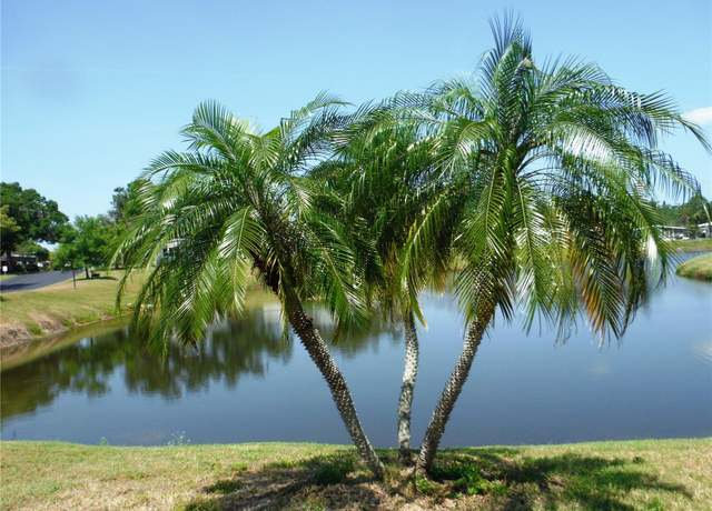 Property at 84 Cottagewood Dr #35, Safety Harbor, FL 34695, 2 beds, 2 baths