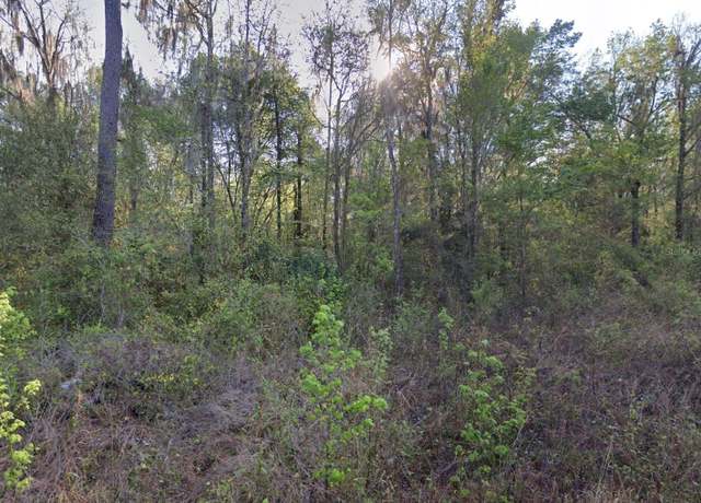 Property at 1061 SW 135th Ter, Ocala, FL 34481