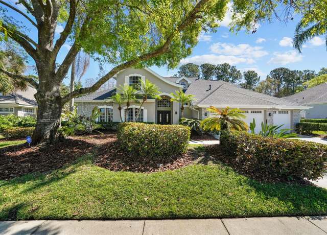 Property at 12117 Clear Harbor Dr, Tampa, FL 33626, 5 beds, 3.5 baths