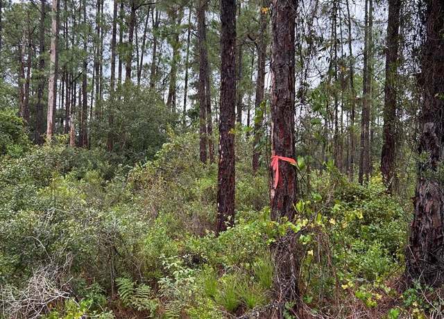 Property at 709 Belmonte Dr, Indian Lake Estates, FL 33855