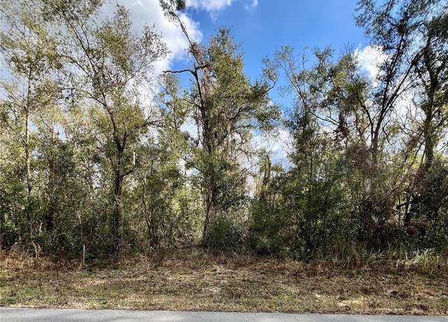 Property at Smallman St, Webster, FL 33597