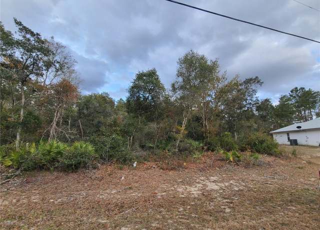 Property at 00 SW 35th Cir, Ocala, FL 34473