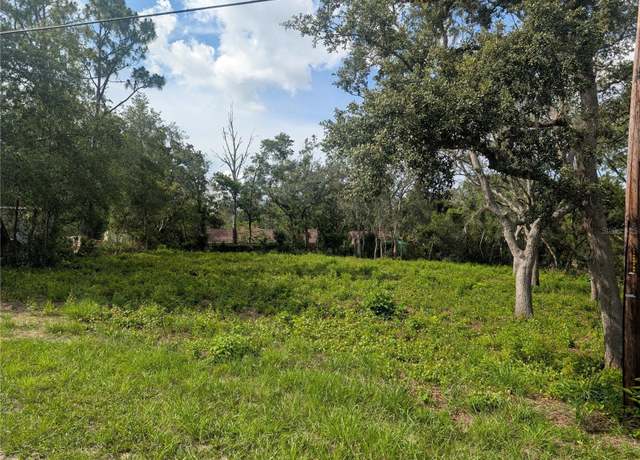 Property at 0 Merlin Cir, Dade City, FL 33523