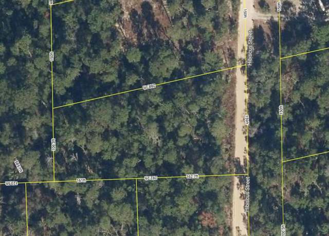 Property at 107 Hibiscus St, Pomona Park, FL 32181